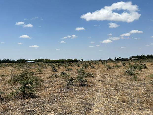 Tuala Rangua 6-Acres