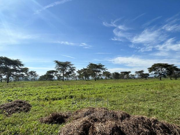 Moi Ndabibi 50 Acre