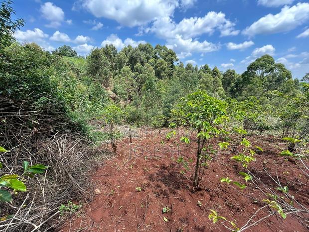 Banana Hill 1.4acre River Frontage