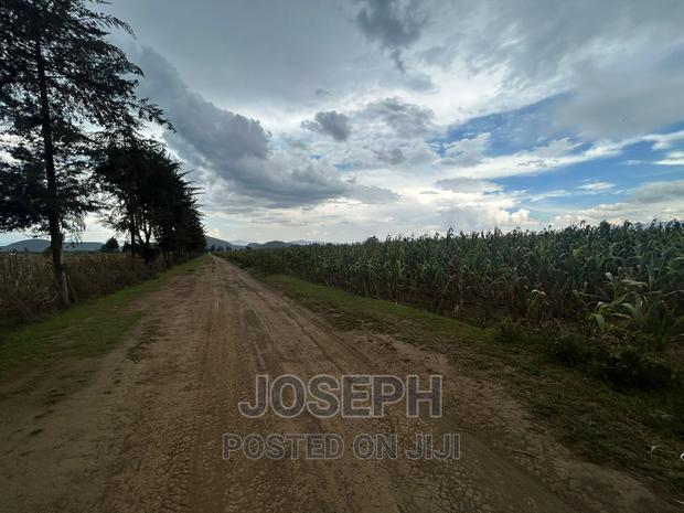 Naivasha Ndabibi Prime and Fertile 50-Acres