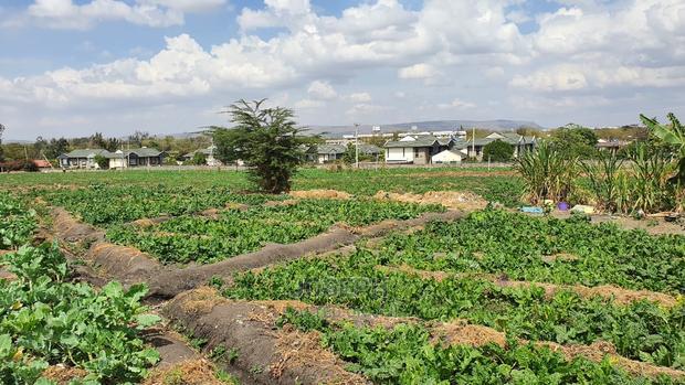 Athi River 10acre Near Graceland River Park Estates