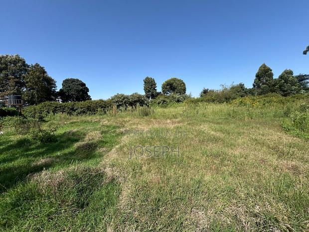 2.5 Acres Residential/ Commercial Property