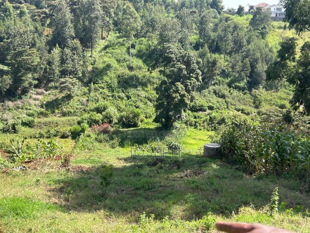 2.5 Acres Residential/ Commercial Property