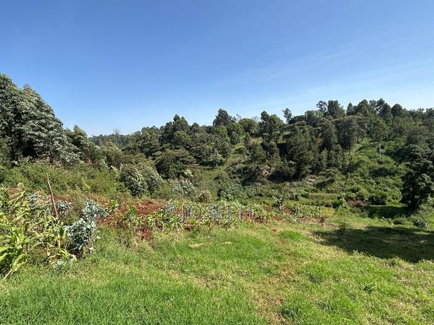 2.5 Acres Residential/ Commercial Property
