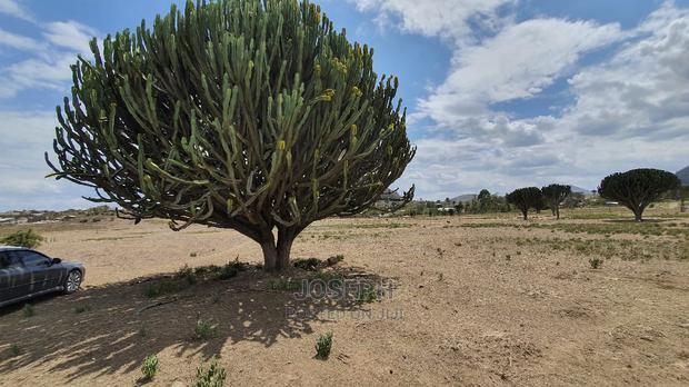 Naivasha Moi Ndabi Sero 22.9acres,Eletric Fenced