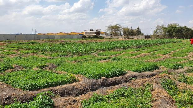 Athi River 10acre Near Graceland River Park Estates