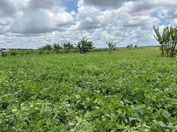 Kisaju 10acres Farm With Borehole