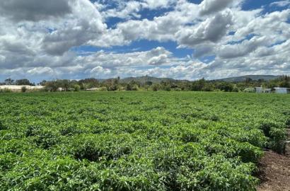 Sagana 7acres River Frontage Farm