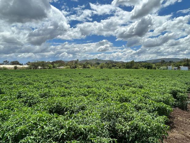Sagana 7acres River Frontage Farm