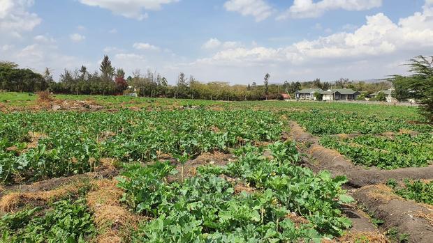 Athi River 10acre Near Graceland River Park Estates