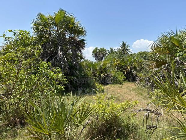 Diani 6.5acres