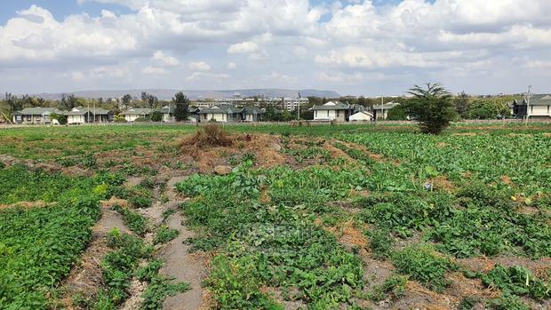 Athi River 10acre Near Graceland River Park Estates