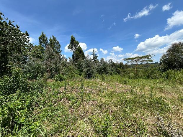 Banana Hill 1.4acre River Frontage