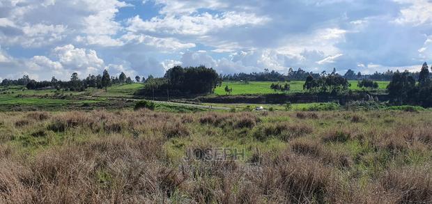 Murungaru River Frontge Farm With Borehole