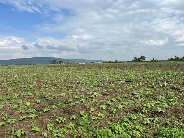 Nakuru Greensteds 1acres Blocks