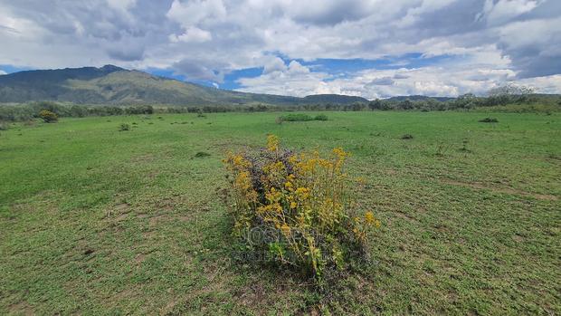 Charming Block of 112 Acres Naivasha Kedong