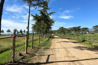Moi Ndabibi 50 Acre