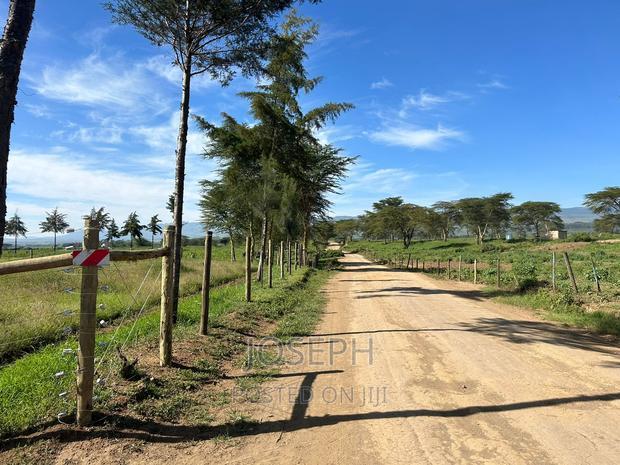 Moi Ndabibi 50 Acre