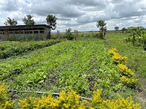 Kisaju 10acres Farm With Borehole