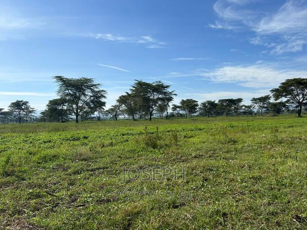 Moi Ndabibi 50 Acre