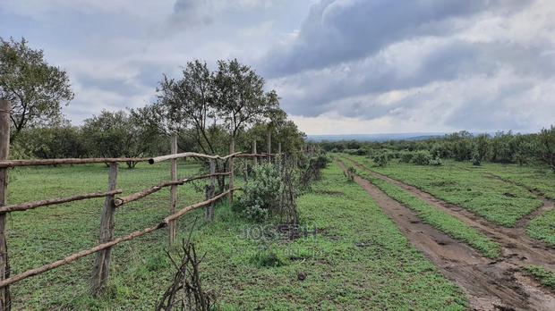 Naivasha 5 and 10acres Within Developed Impala Estate