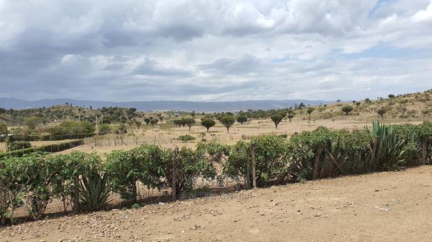 Naivasha Moi Ndabi Sero 22.9acres,Eletric Fenced