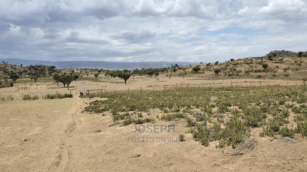 Naivasha Moi Ndabi Sero 22.9acres,Eletric Fenced