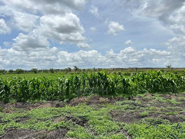 Kisaju 10acres Farm With Borehole