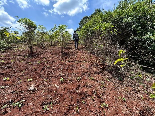 Banana Hill 1.4acre River Frontage