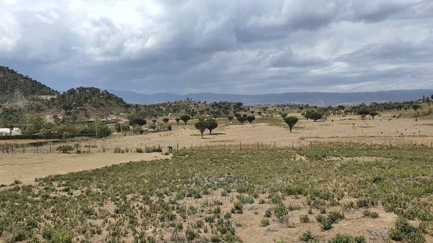 Naivasha Moi Ndabi Sero 22.9acres,Eletric Fenced
