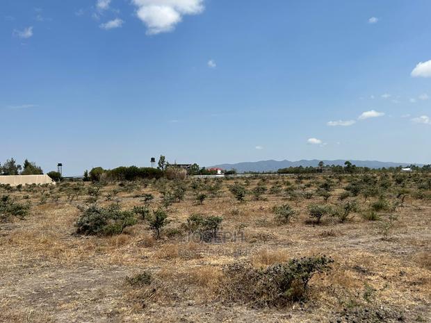 Tuala Rangua 6-Acres