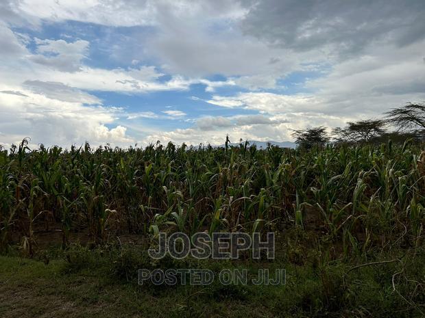 Naivasha Ndabibi Prime and Fertile 50-Acres