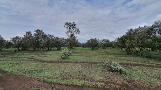 Naivasha 5 and 10acres Within Developed Impala Estate
