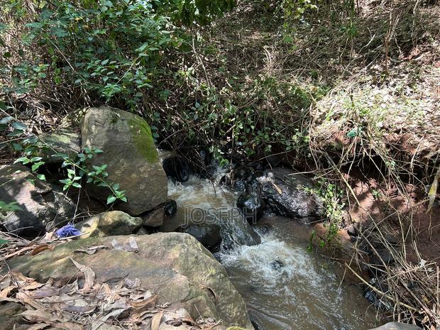 Banana Hill 1.4acre River Frontage