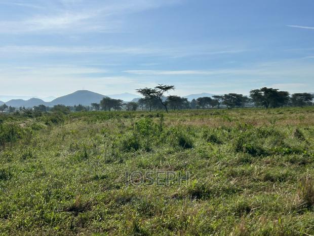 Moi Ndabibi 50 Acre