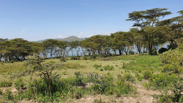 Prime Lake Frontage Conservancy Ranch Naivasha