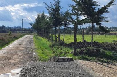 Murungaru River Frontge Farm With Borehole