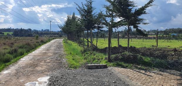 Murungaru River Frontge Farm With Borehole