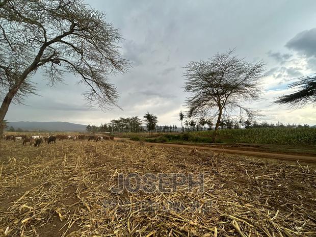 Naivasha Ndabibi Prime and Fertile 50-Acres