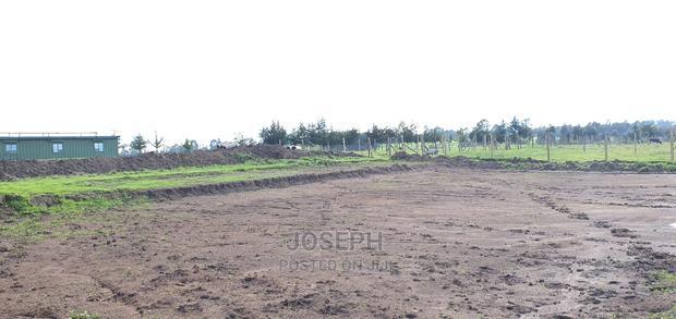 Murungaru River Frontge Farm With Borehole