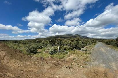 Naivasha 1acre Plots