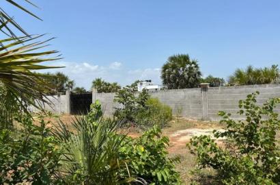 Diani 6.5acres