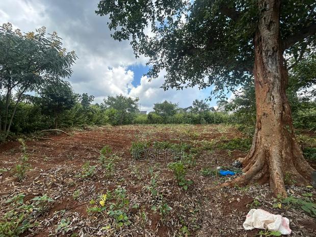 Serviced 1/4 Acre for Sale