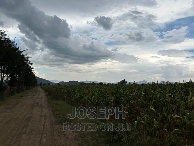 Naivasha Ndabibi Prime and Fertile 50-Acres