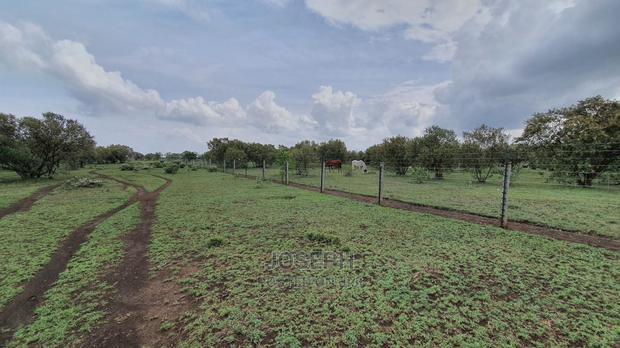 Naivasha 5 and 10acres Within Developed Impala Estate