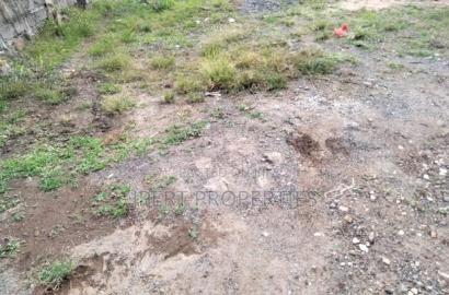 Olive Greens Plot on Sale