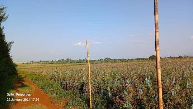 600 Acres for Sale