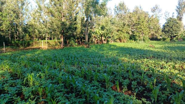 Red Soil Land on Sale