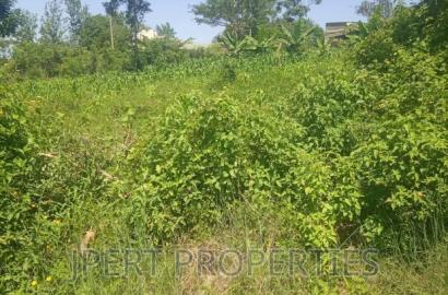 3 Acres for Sale