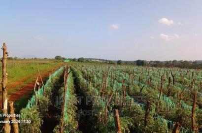 600 Acres for Sale